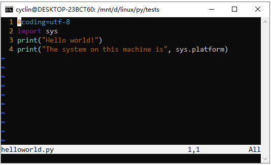 vim compiler