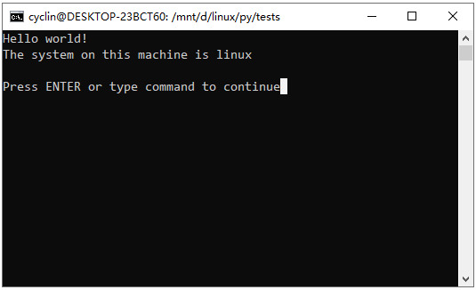 vim result