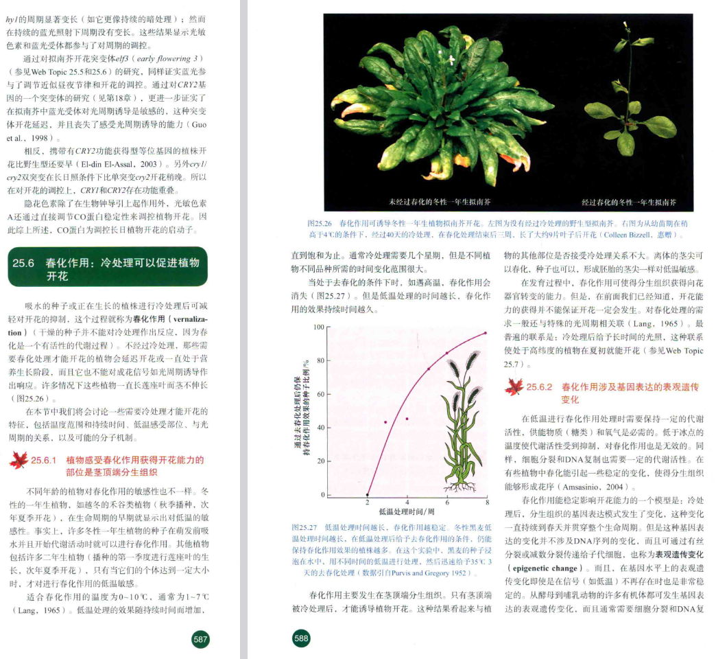 page3
