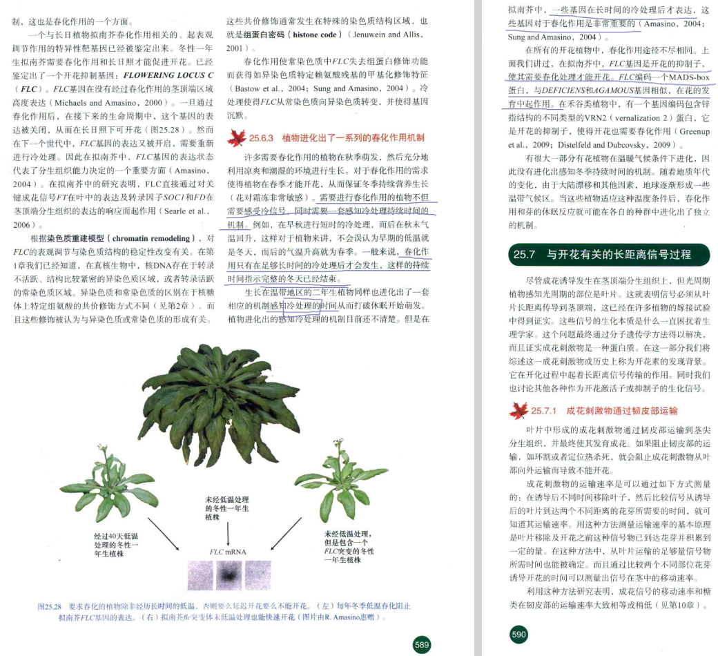 page4