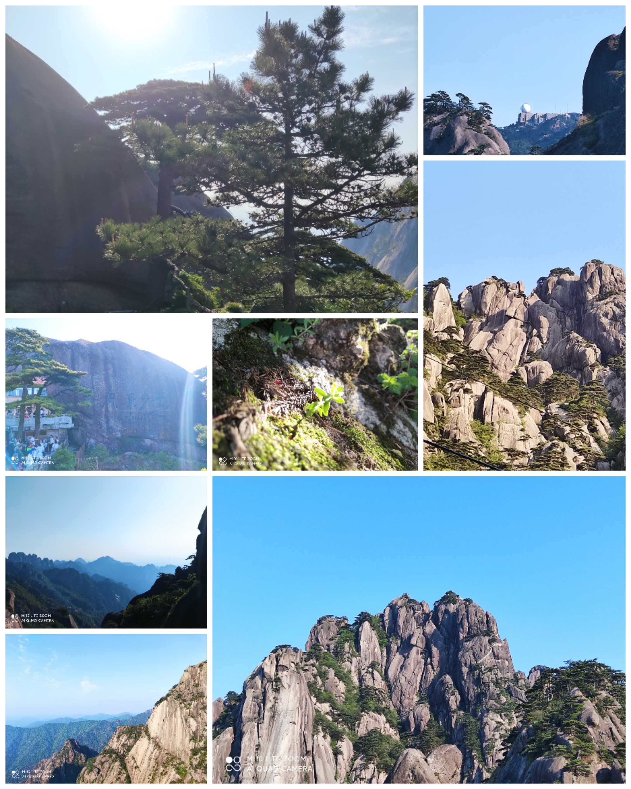 Collage_20250518_225041.jpg