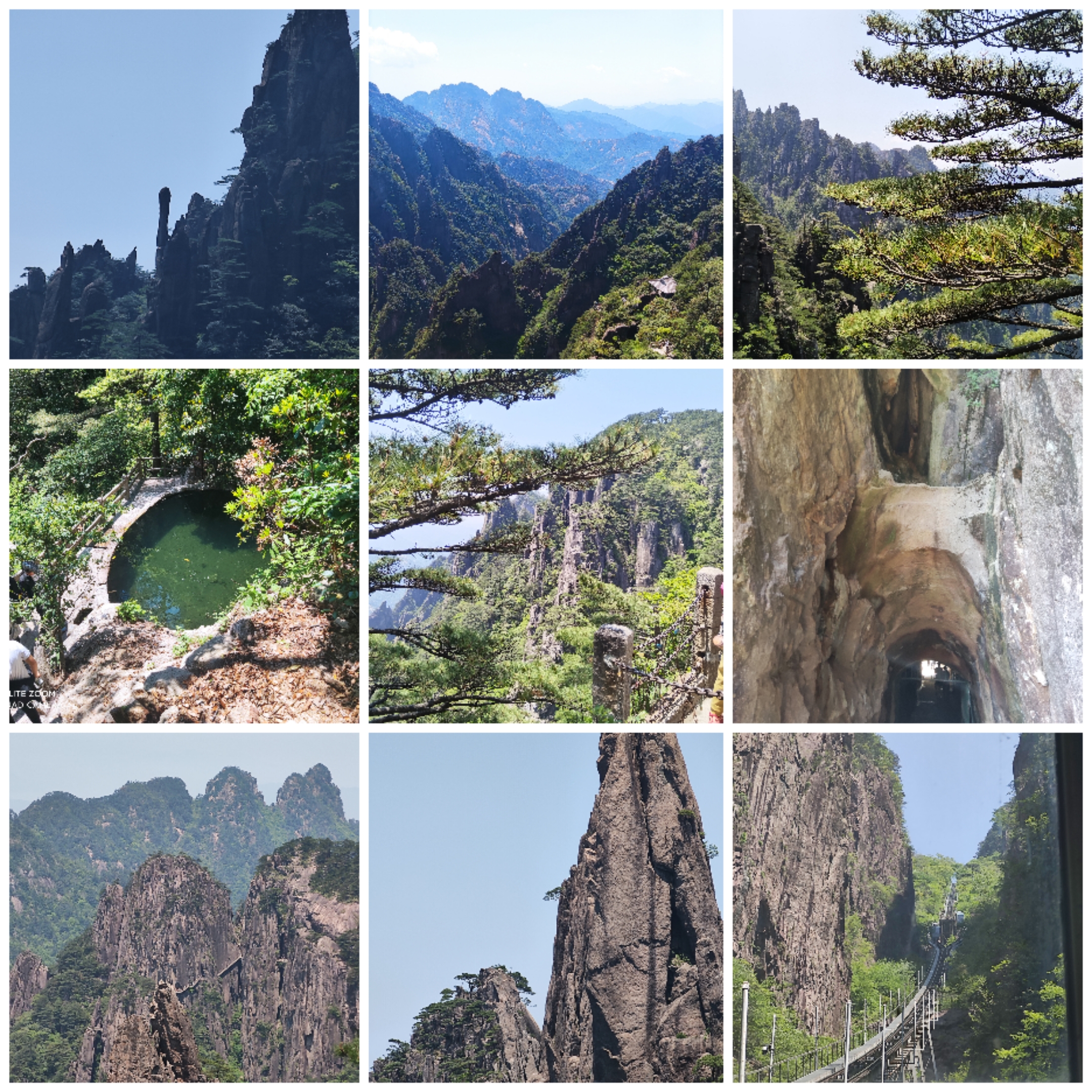 Collage_20250518_230624.jpg
